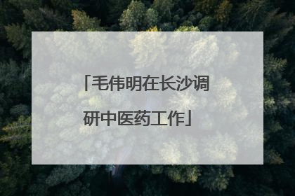 毛伟明在长沙调研中医药工作