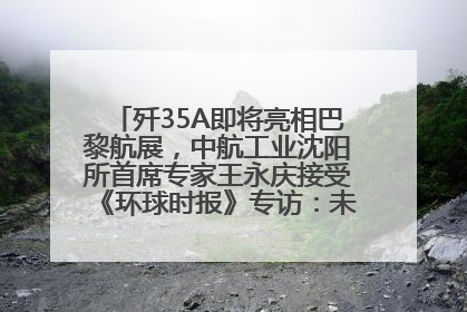 歼35A即将亮相巴黎航展，中航工业沈阳所首席专家王永庆接受《环球时报》专访：未来数量可以有很多