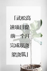 武松高速项目提前一个月完成现浇梁浇筑
