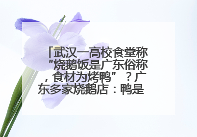 武汉一高校食堂称“烧鹅饭是广东俗称，食材为烤鸭”？广东多家烧鹅店：鸭是鸭鹅是鹅