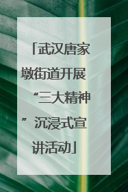 武汉唐家墩街道开展“三大精神”沉浸式宣讲活动