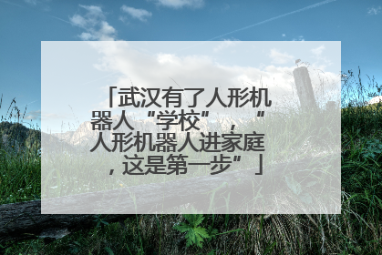 武汉有了人形机器人“学校”，“人形机器人进家庭，这是第一步”