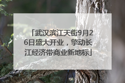 武汉滨江天街9月26日盛大开业，擎动长江经济带商业新地标