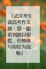 武汉考生谈高考作文题：第一眼看到题目很慌，但整体写得较为流畅