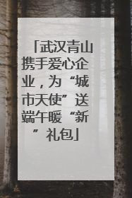武汉青山携手爱心企业，为“城市天使”送端午暖“新”礼包