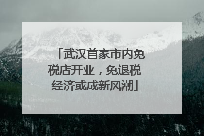 武汉首家市内免税店开业，免退税经济或成新风潮