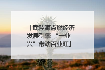武陵源点燃经济发展引擎 “一业兴”带动百业旺
