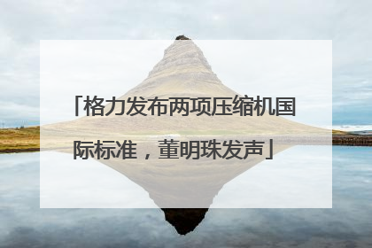 格力发布两项压缩机国际标准，董明珠发声