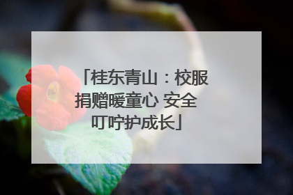桂东青山：校服捐赠暖童心 安全叮咛护成长