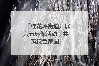 桂花坪街道开展六五环保活动，共筑绿色家园