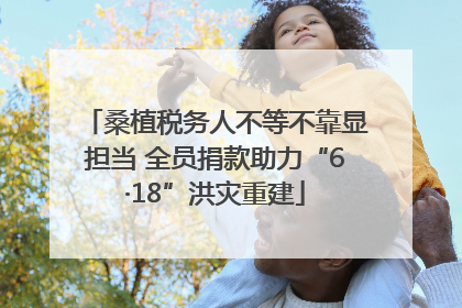 桑植税务人不等不靠显担当 全员捐款助力“6·18”洪灾重建
