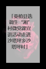 桑植县选调生“湘”村微党课宣讲活动走进沙塔坪乡沙塔坪村