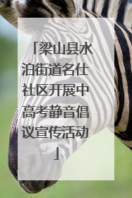 梁山县水泊街道名仕社区开展中高考静音倡议宣传活动