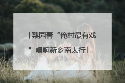 梨园春“俺村最有戏”唱响新乡南太行
