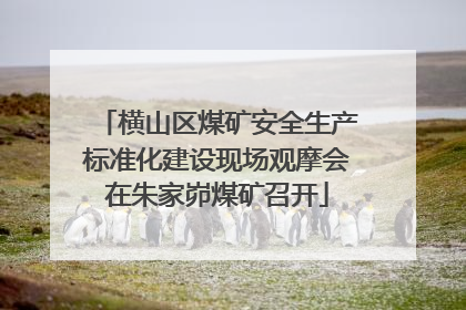 横山区煤矿安全生产标准化建设现场观摩会在朱家峁煤矿召开