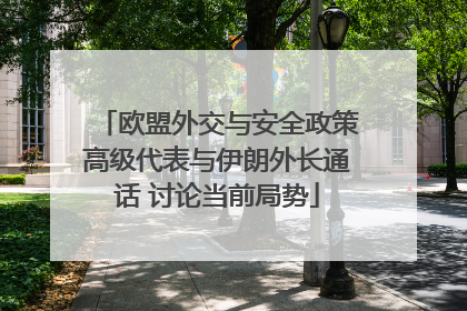欧盟外交与安全政策高级代表与伊朗外长通话 讨论当前局势