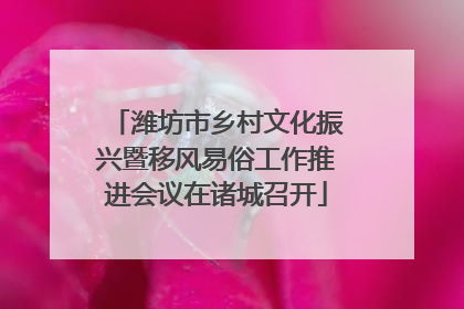 潍坊市乡村文化振兴暨移风易俗工作推进会议在诸城召开