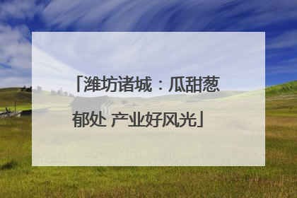 潍坊诸城：瓜甜葱郁处 产业好风光
