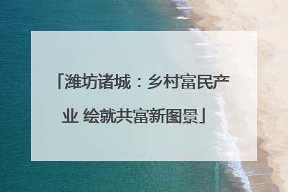 潍坊诸城：乡村富民产业 绘就共富新图景