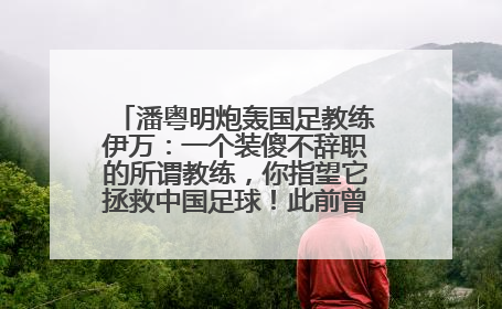 潘粤明炮轰国足教练伊万：一个装傻不辞职的所谓教练，你指望它拯救中国足球！此前曾多次发文评价国足