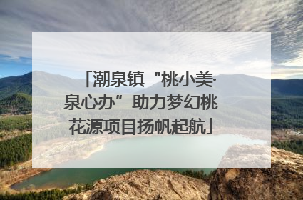 潮泉镇“桃小美·泉心办”助力梦幻桃花源项目扬帆起航