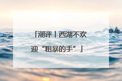 潮评丨西湖不欢迎“粗暴的手”