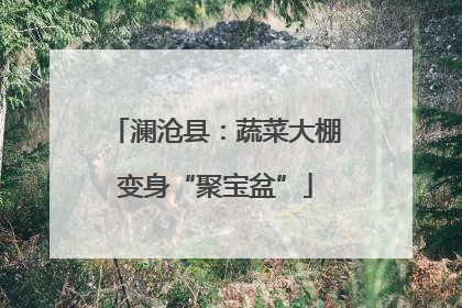 澜沧县：蔬菜大棚变身“聚宝盆”