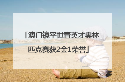 澳门镜平世青英才奥林匹克赛获2金1荣誉