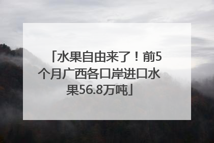 水果自由来了！前5个月广西各口岸进口水果56.8万吨