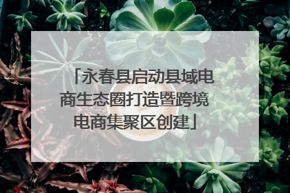 永春县启动县域电商生态圈打造暨跨境电商集聚区创建