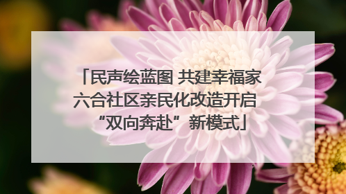 民声绘蓝图 共建幸福家 六合社区亲民化改造开启“双向奔赴”新模式