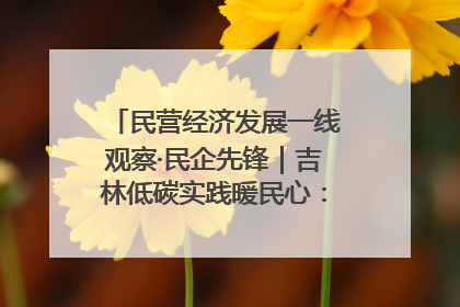 民营经济发展一线观察·民企先锋｜吉林低碳实践暖民心：太阳能供暖技术为北方清洁取暖破局