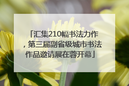 汇集210幅书法力作，第三届副省级城市书法作品邀请展在蓉开幕