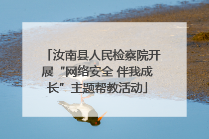 汝南县人民检察院开展“网络安全 伴我成长”主题帮教活动