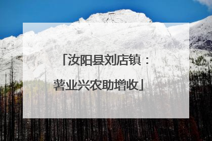 汝阳县刘店镇：薯业兴农助增收