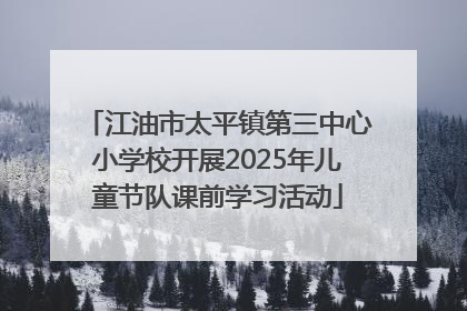 江油市太平镇第三中心小学校开展2025年儿童节队课前学习活动