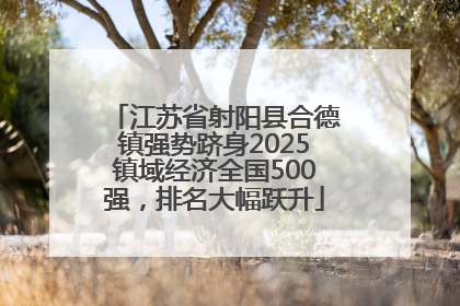 江苏省射阳县合德镇强势跻身2025镇域经济全国500强，排名大幅跃升