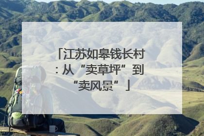 江苏如皋钱长村：从“卖草坪”到“卖风景”