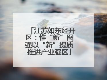 江苏如东经开区：惟“新”图强以“新”提质推进产业强区