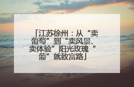 江苏徐州：从“卖葡萄”到“卖风景、卖体验”阳光玫瑰“葡”就致富路