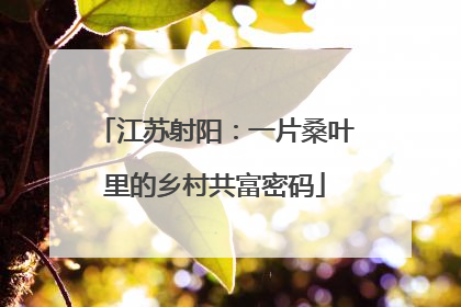 江苏射阳：一片桑叶里的乡村共富密码