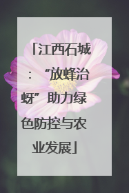 江西石城：“放蜂治蚜”助力绿色防控与农业发展