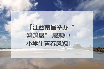 江西南昌举办“鸿鹄展” 展现中小学生青春风貌