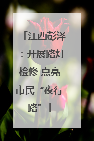 江西彭泽：开展路灯检修 点亮市民“夜行路”