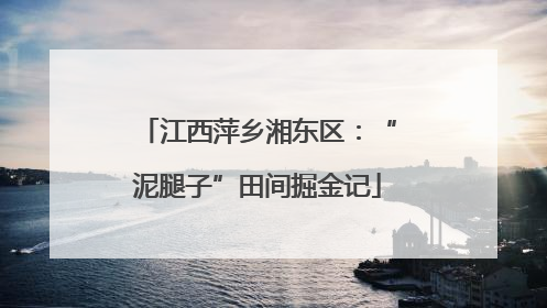 江西萍乡湘东区：“泥腿子”田间掘金记