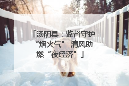 汤阴县：监督守护“烟火气” 清风助燃“夜经济”