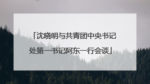 沈晓明与共青团中央书记处第一书记阿东一行会谈