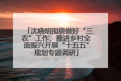 沈晓明围绕做好“三农”工作、推进乡村全面振兴开展“十五五”规划专题调研