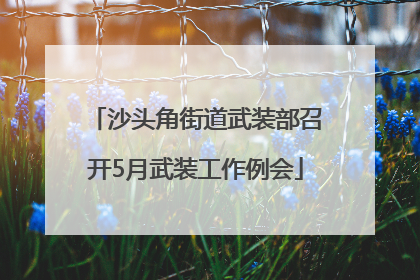 沙头角街道武装部召开5月武装工作例会