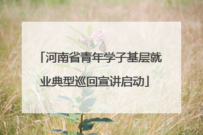河南省青年学子基层就业典型巡回宣讲启动